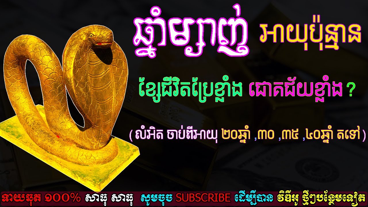 ឆ្នាំម្សាញ់ អាយុប៉ុន្មាន ខ្សែជីវិតប្រែខ្លាំង ជោគជ័យខ្លាំង លំអិតចាប់ពីអាយុ ២០,៣០,៤០ឆ្នាំ,ep learning