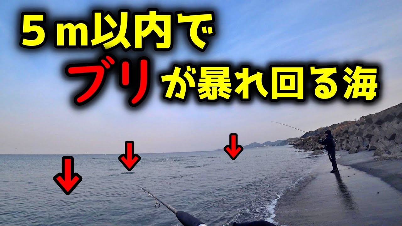 【ぼっちの九州遠征】足元５ｍでブリが釣れるサーフに行ってきました。