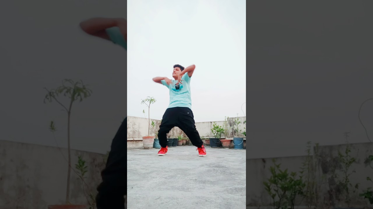 Copines dance cover | Choreography Bhargab Barman