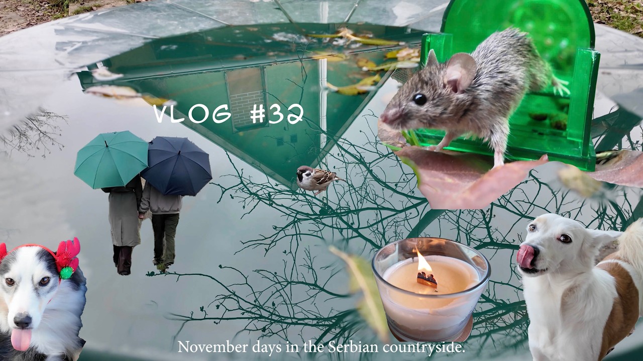 Foggy November in Serbian Village: Cozy Days, Mice Adventures 🍂🕯️ 2025