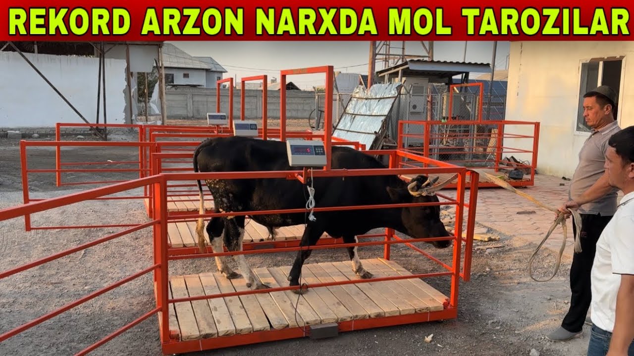 MEZON METAL SERVISDAN REKORD ARZON TAROZILAR