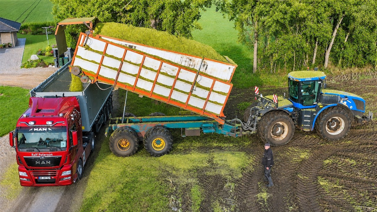 Maishäckseln 2021 - Maisernte in Dänemark - Lohnunternehmen in der Landwirtschaft - LU Jensen Farmer