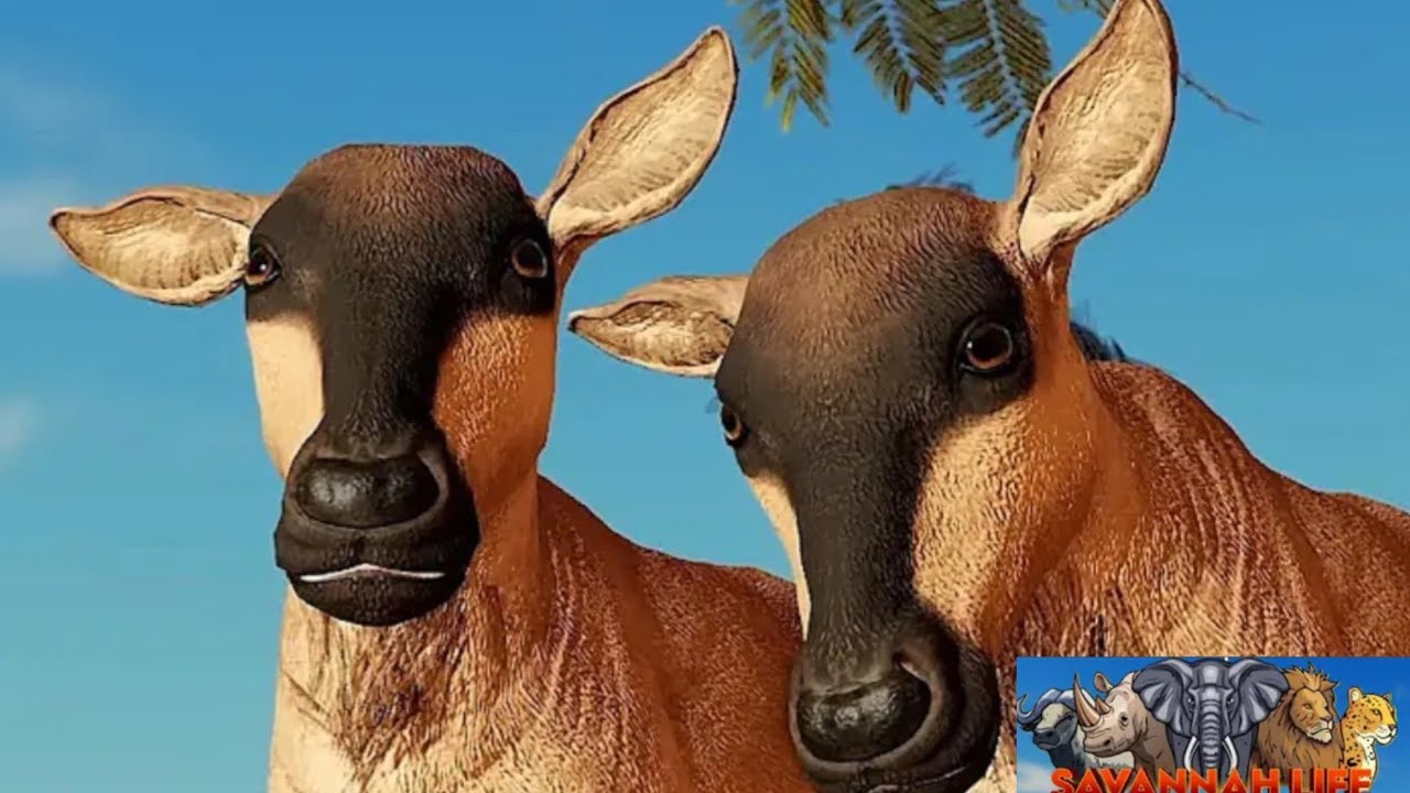 A vida de um filhote de GNU... ROBLOX 