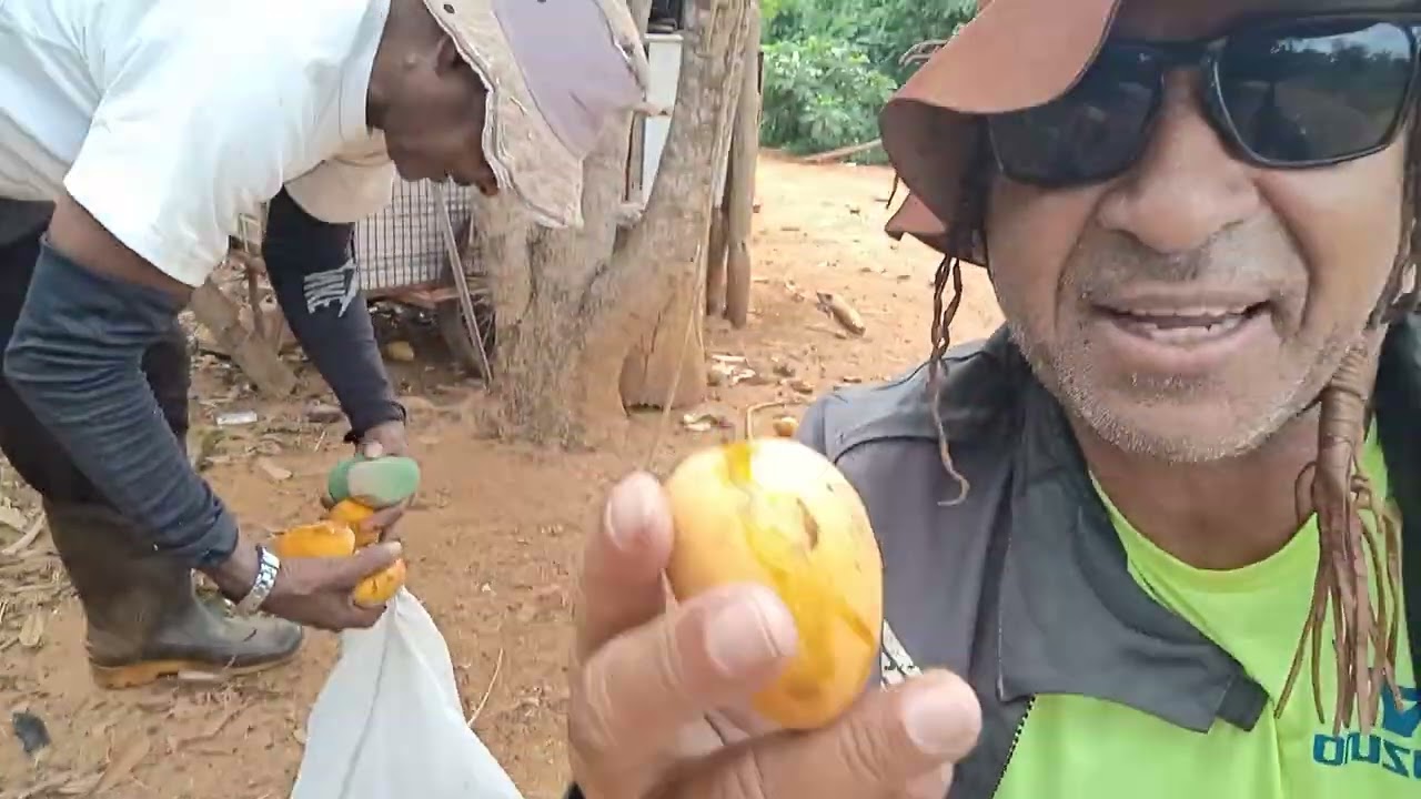 Olha o dia que eu visitei a chácara de seu Gerson na lagoa de Maria clemência município conquista Ba
