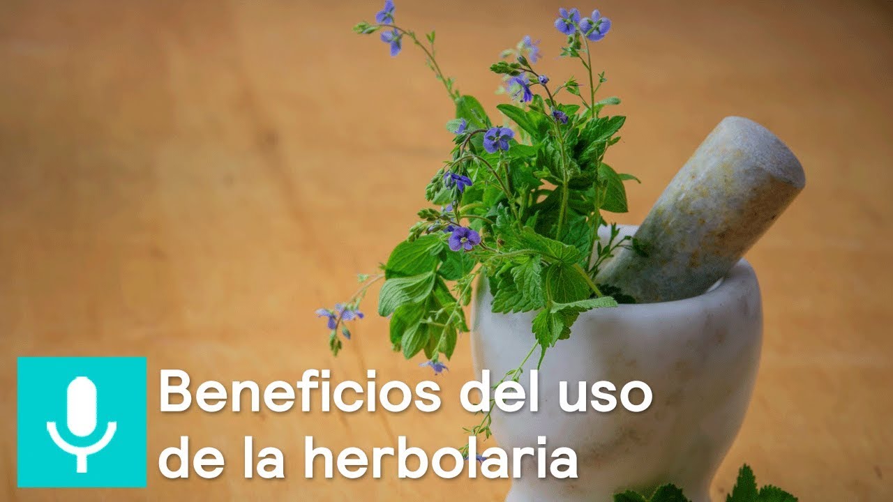 ¿Cuáles son los beneficios del uso de la herbolaria? - Al Aire con Paola
