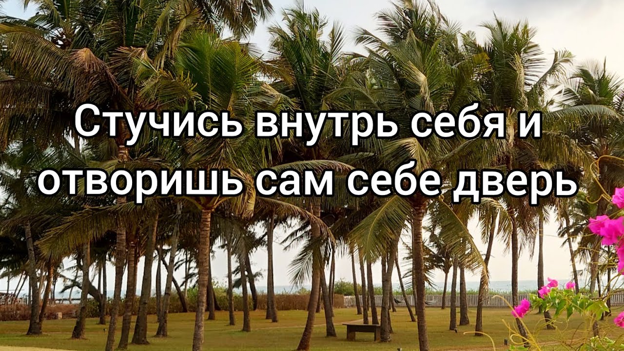Пробуждение: перевод внимания из персонажа в Автора игры