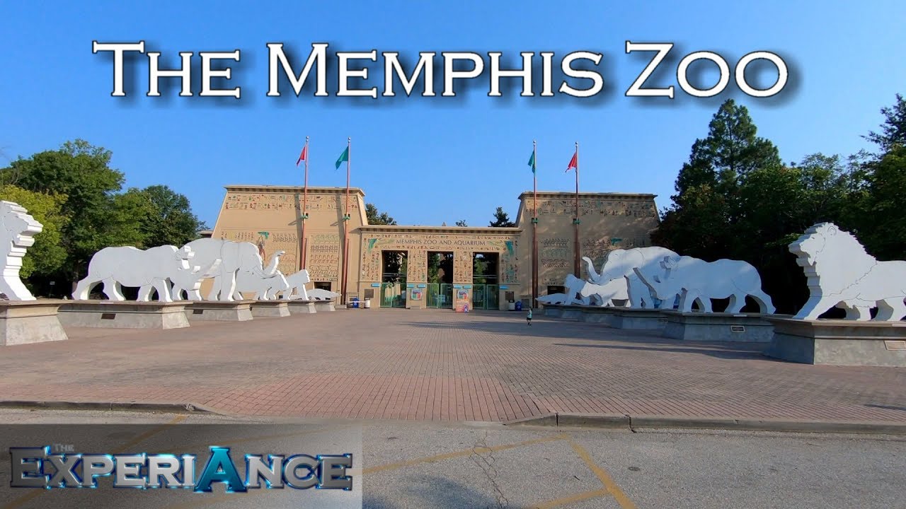 The Memphis Zoo | The Experiance