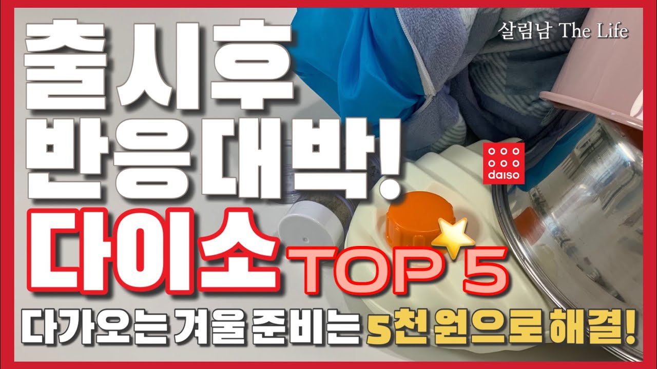 다이소 겨울 준비 이거 하나로 끝 💯 / 딱! 5천 원만 준비하세요 💁🏻 / 출시 후 반응이 너무 좋은 추천템 5가지 / daiso cest top 5 ❤️