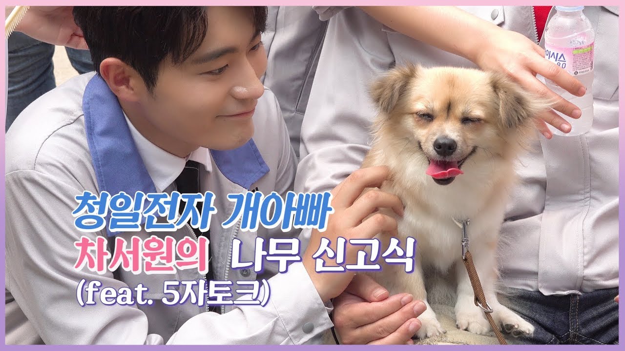 [차서원] 청일전자 개아빠 차서원의 나무 신고식 (feat. 5자토크) (Cha Seo Won)