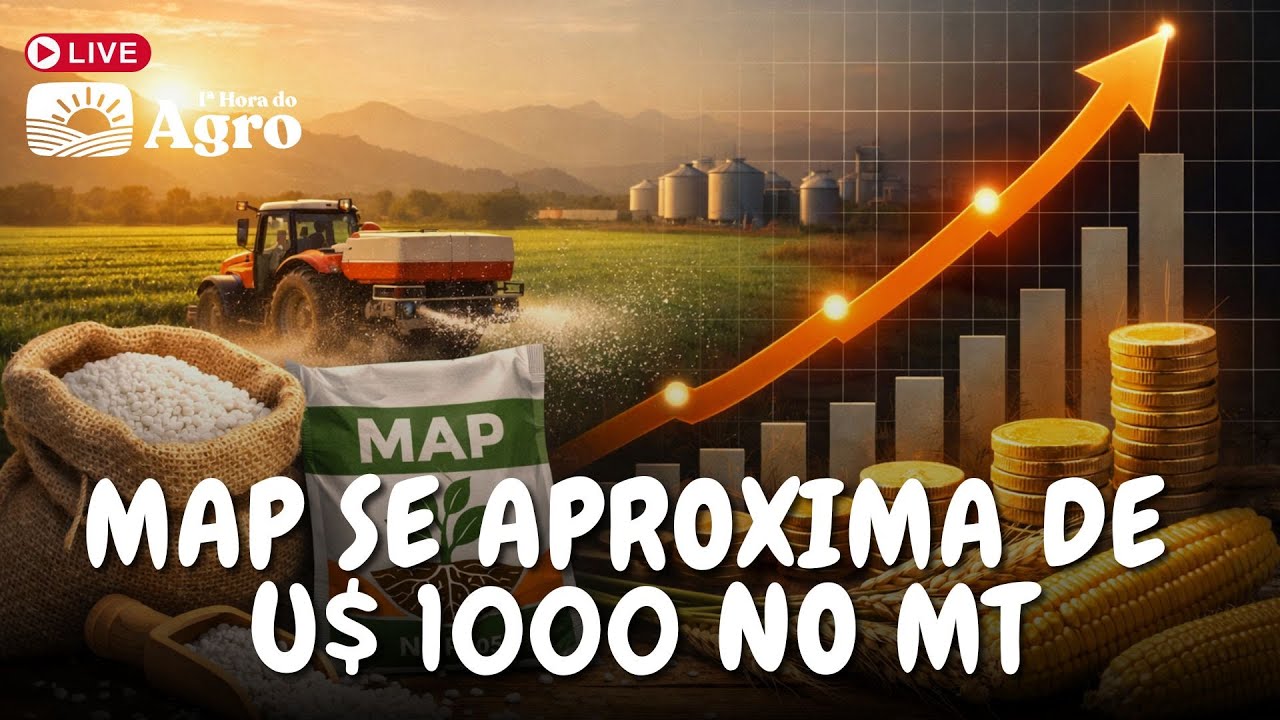 MAP próximo de U$ 1.000 no Mato Grosso - AO VIVO - 13/03/2026