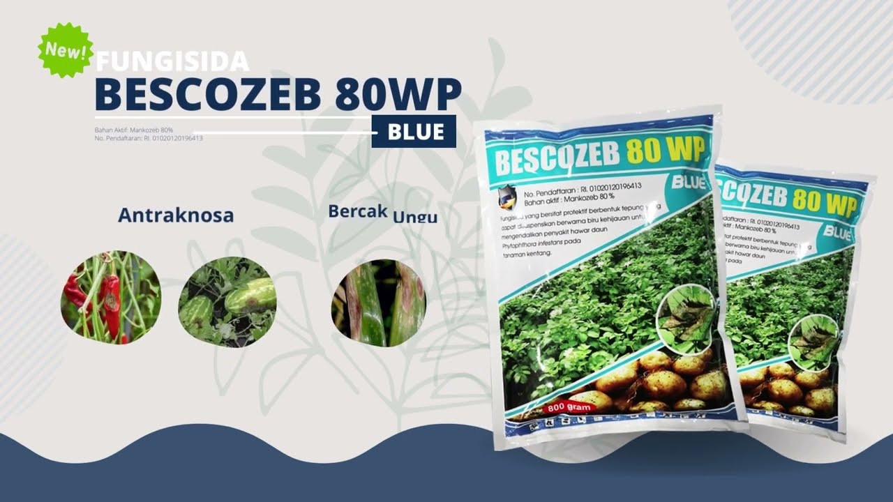 BESCOZEB BLUE 80WP (PRDUCT CATALOGUE VIDOEO)