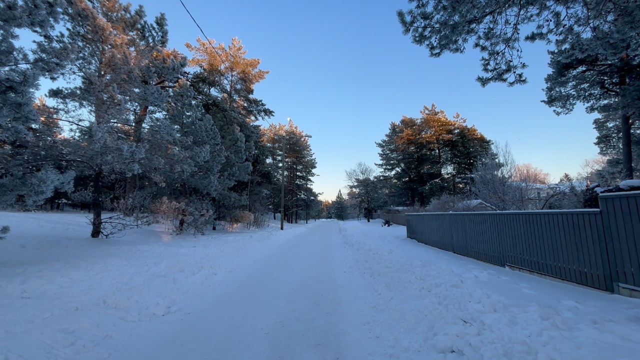 Winter Forest Walk - No Talking | Ambient Sound