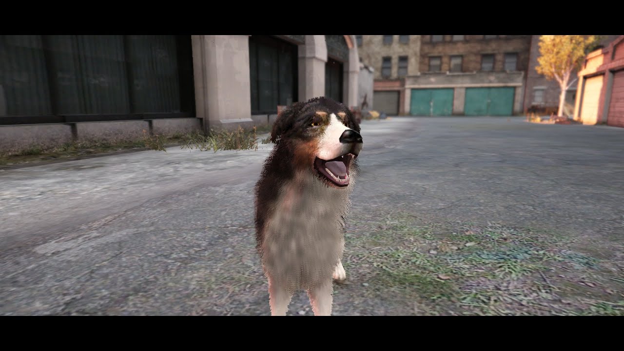 ROLEPLAYamo KERA ! / LIVE #705 / Nedim