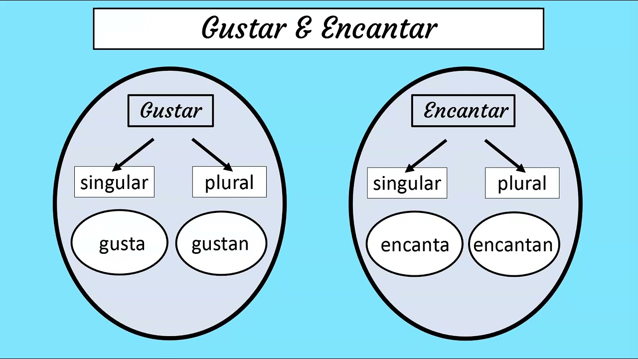 The verb encantar, verbs like gustar