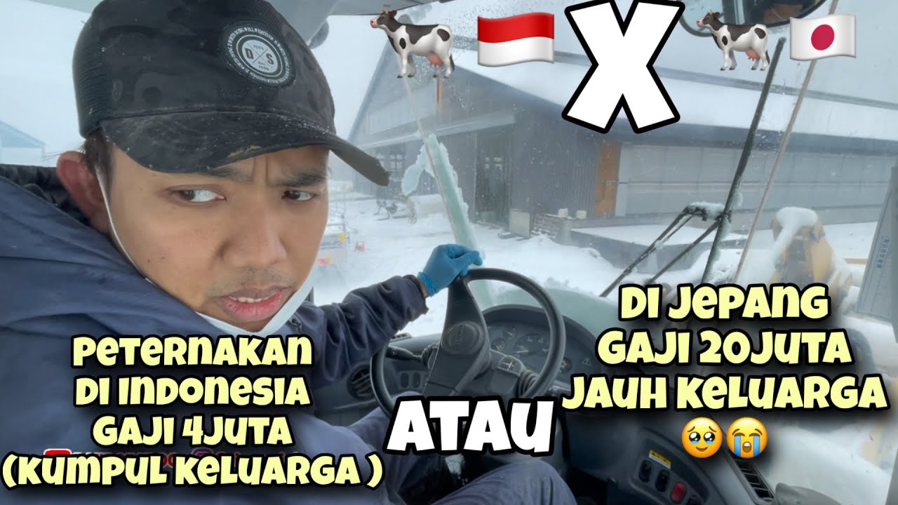 HIDUP ITU PILIHAN‼️PETERNAKAN DI INDONESIA GAJI 4JUTA ATAU DI JEPANG GAJI 20JUTA TAPI JAUH KELUARGA