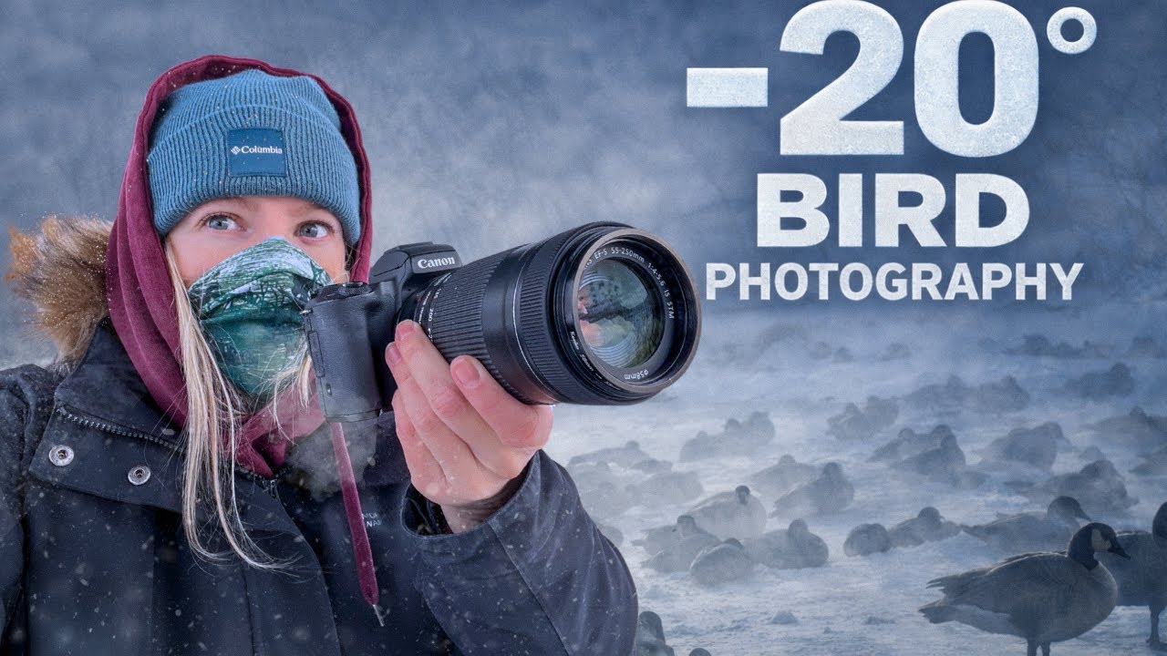 Extreme Cold Bird Photography (-20°C) | POV Canon M50 55-250mm