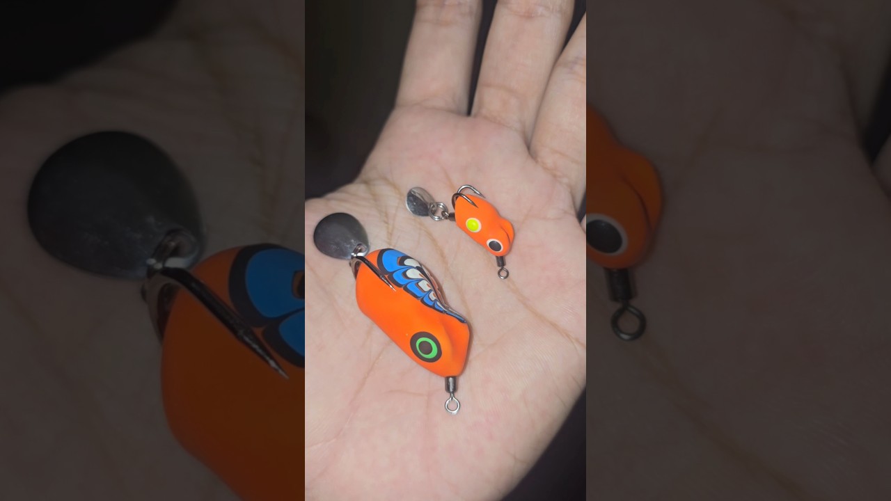 MANTAP‼️BELI SOFT FROG TERKECIL CUMA 1CM‼️