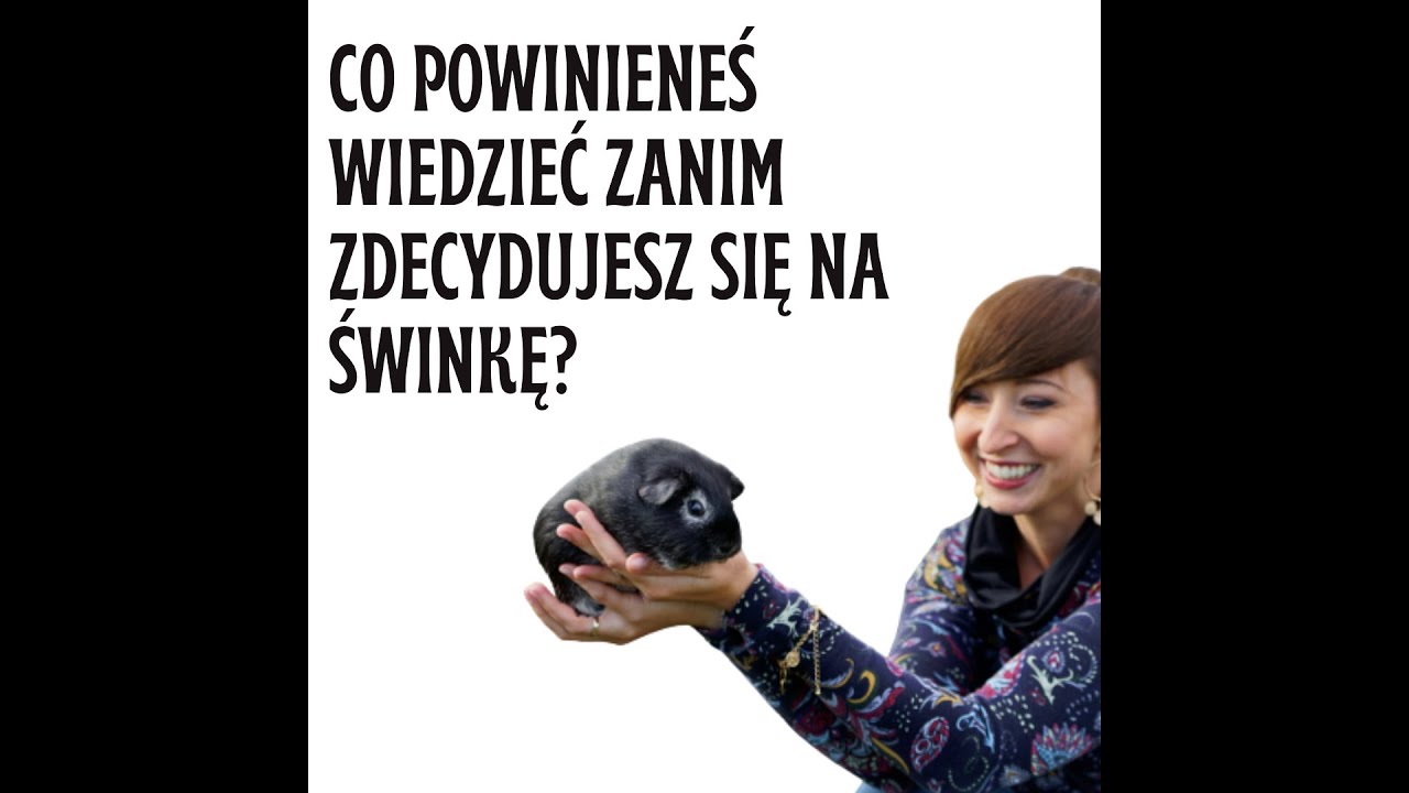 Co powinieneś wiedzieć zanim zdecydujesz się na świnkę...