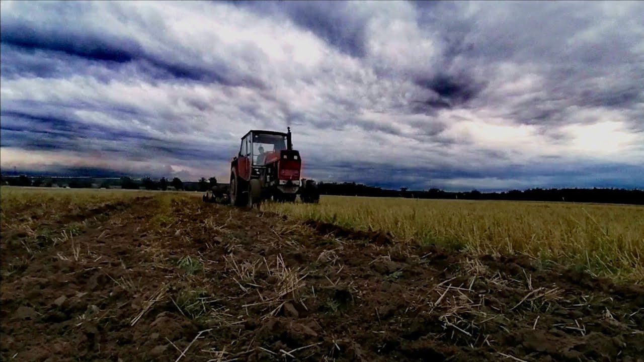 ❗TALERZOWANIE ZETOR 8011 ❗ DRUCIARSKIE PATENTY ❗ HOLIDAYS ❗ DISCO POLO ❗