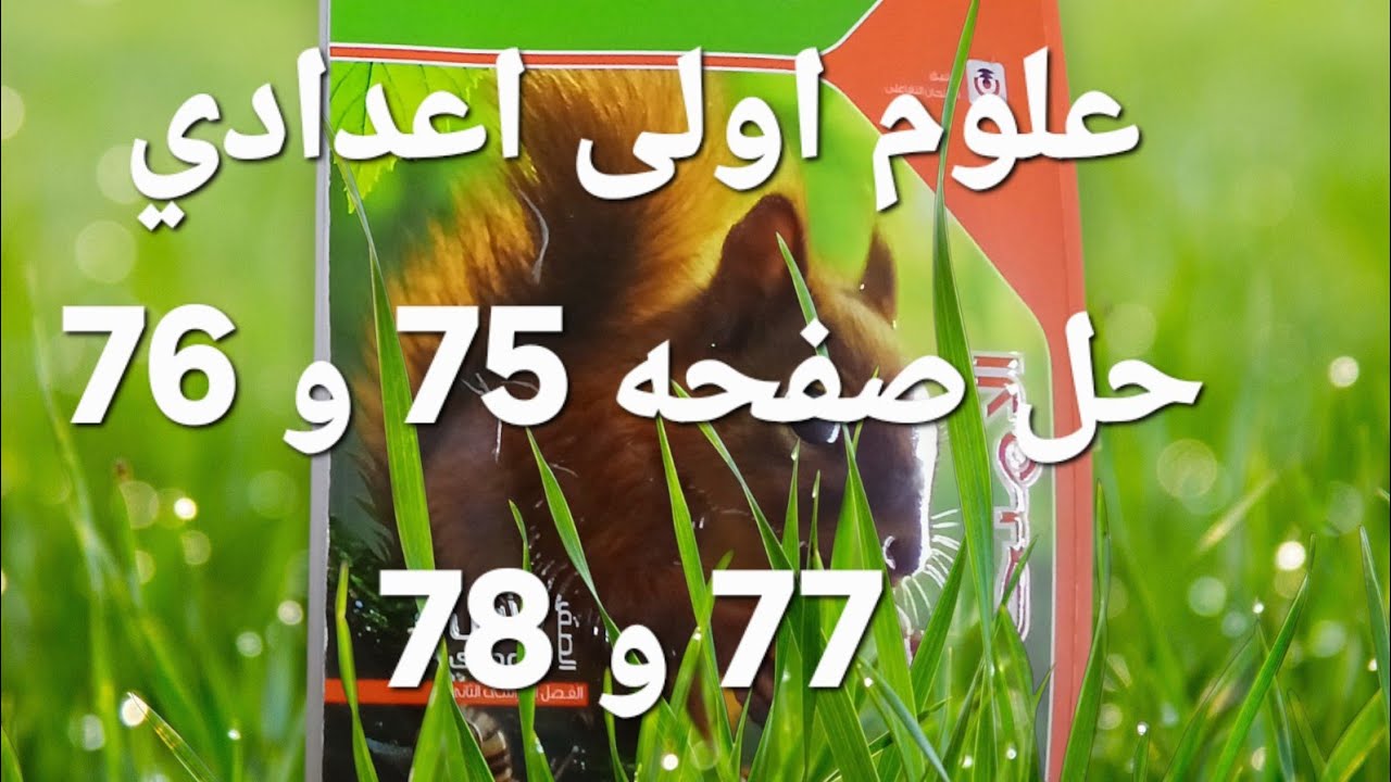 حل صفحه 75 و 76 و 77 و 78 علوم اولى اعدادي الادله هو الاملاح الترم الثاني 2026