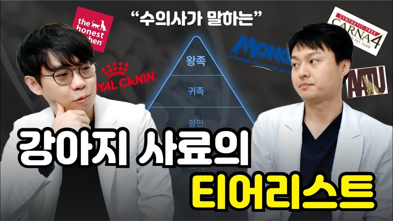 논란의 강아지 사료 등급표? 🔍수의사가 100% 주관적으로 평가해드립니다🧐