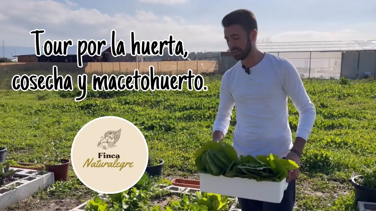 Tour por la #huerta, cosecha y #macetohuerto.