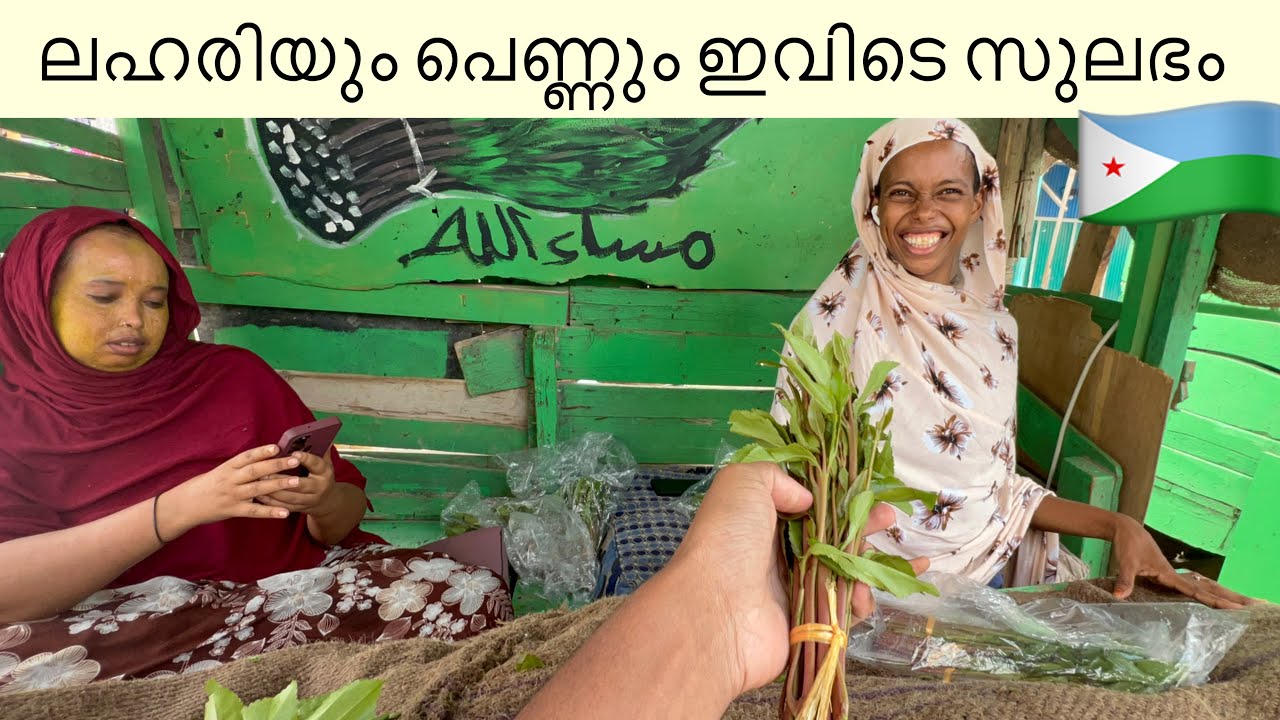 ജിബൂട്ടിയിലെ ലഹരി വിൽക്കുന്ന തെരുവുകളിൽ | Djibouti