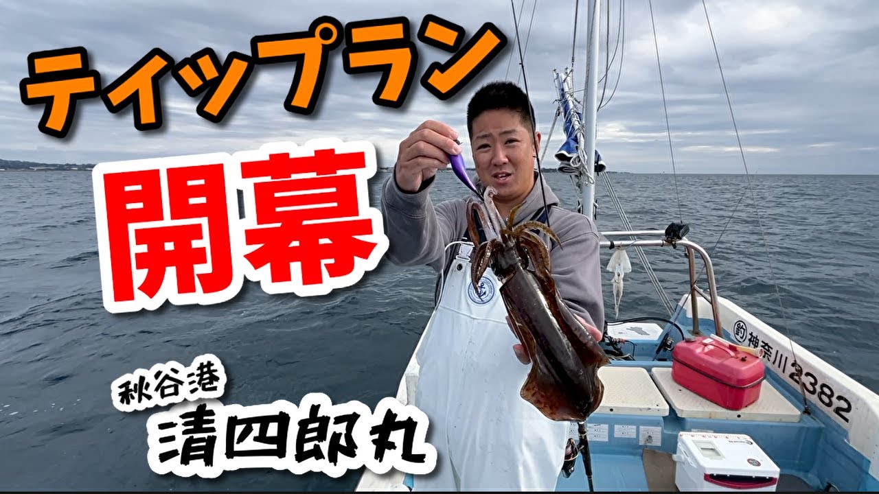 ティップラン開幕2024