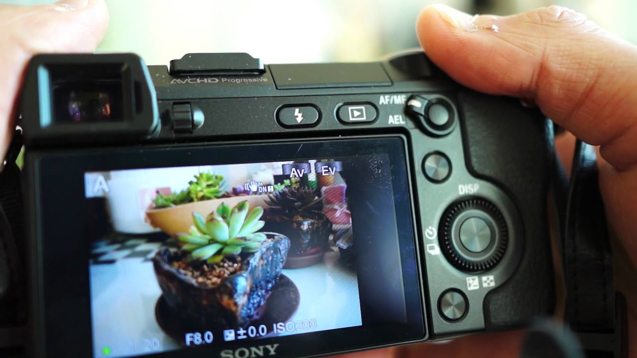 SONY NEX-7 between AF-S and AF-C