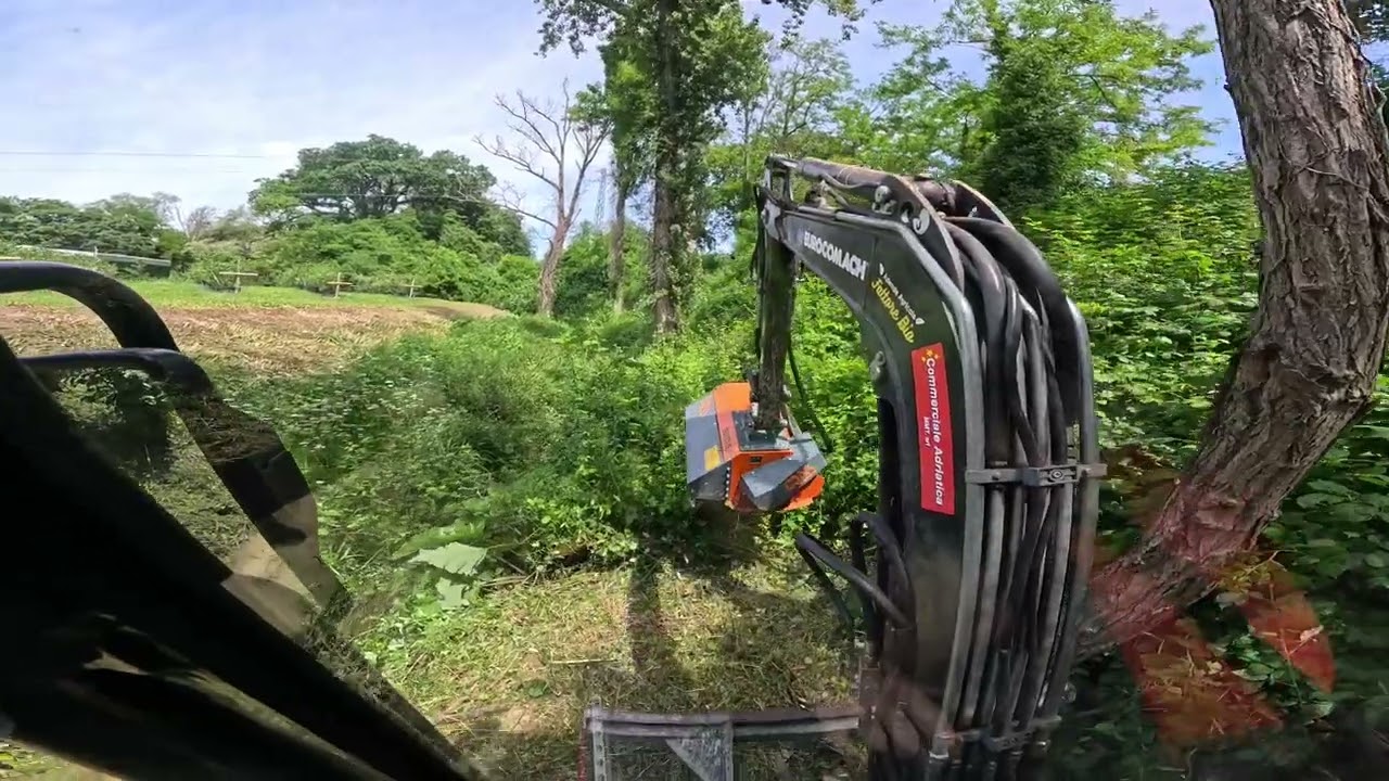 Trinciatura Rovi con Trincia QM mod. SM90 ed Eurocomach ES35.2zt🪓🌿🍃- Az.Agr.Fattore Bio