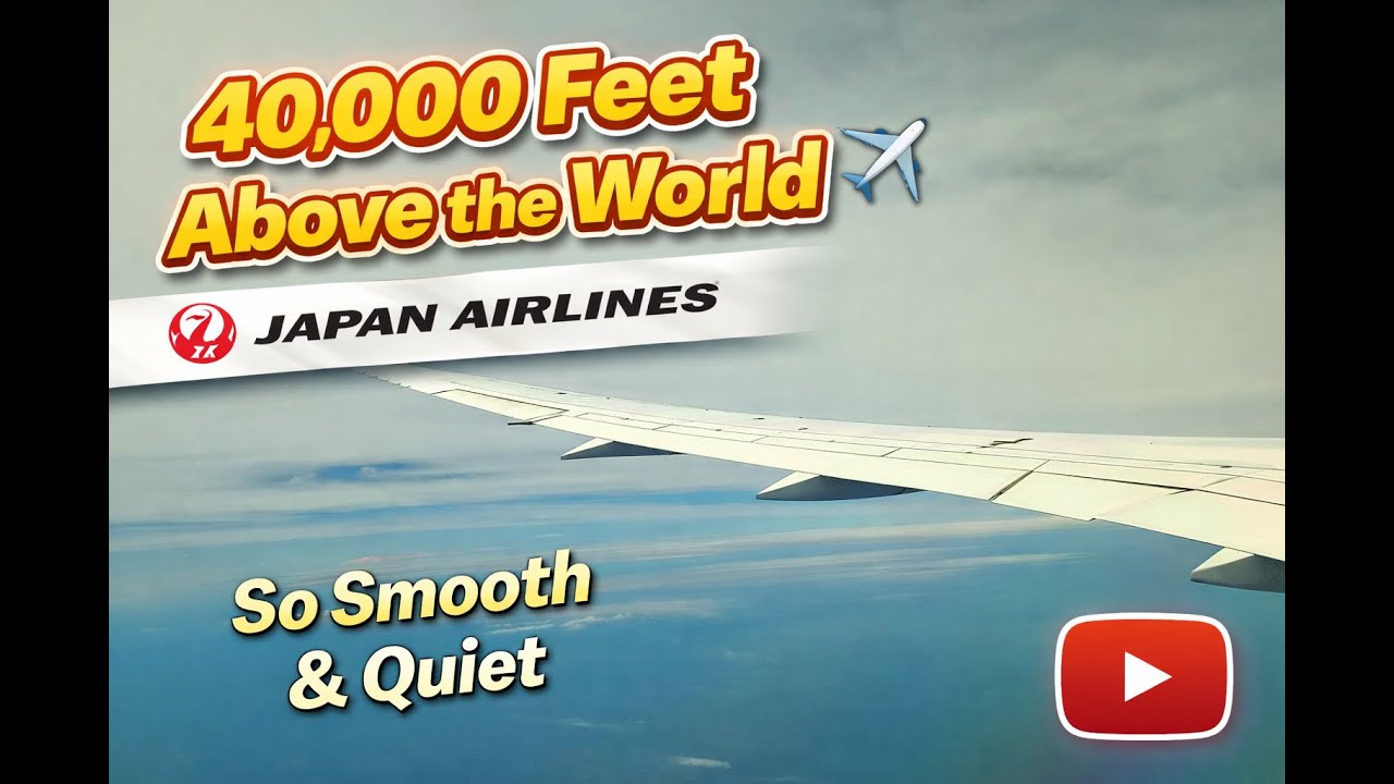 Flying at 40,000 Feet with Japan Airlines | So Smooth & Quiet ✈️ |✈️ |✈️ |✈️ |✈️ |✈️ |✈️ |✈️ |