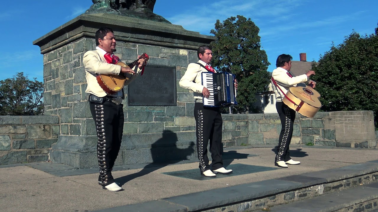 Mariachi famoso cariño donde andaras 4k
