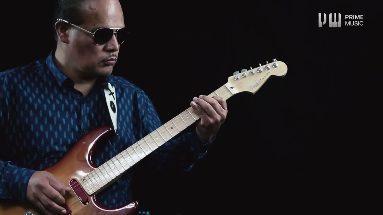 Tocando EL SONIDO DE LOS MIRLOS