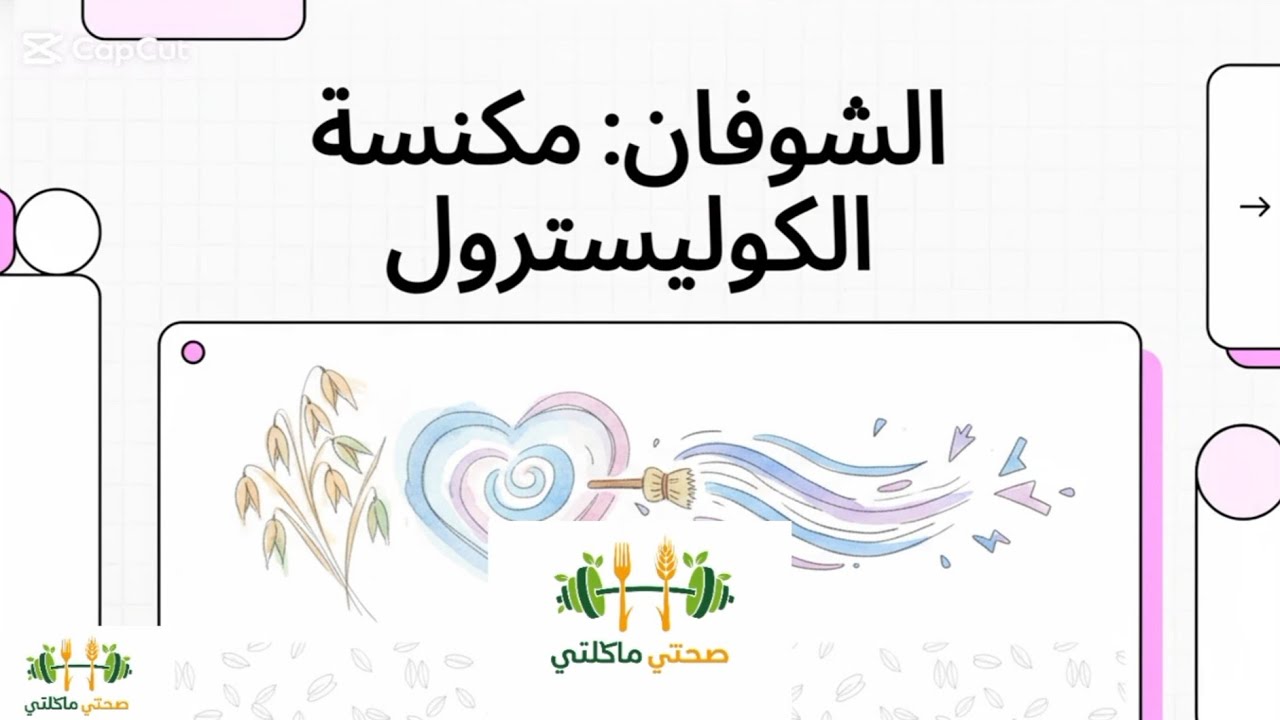 تحب تهنّي على قلبك؟ الشوفان هو 'المكنسة' اللي تنظف عروقك من الكوليسترول! 🥣❤️