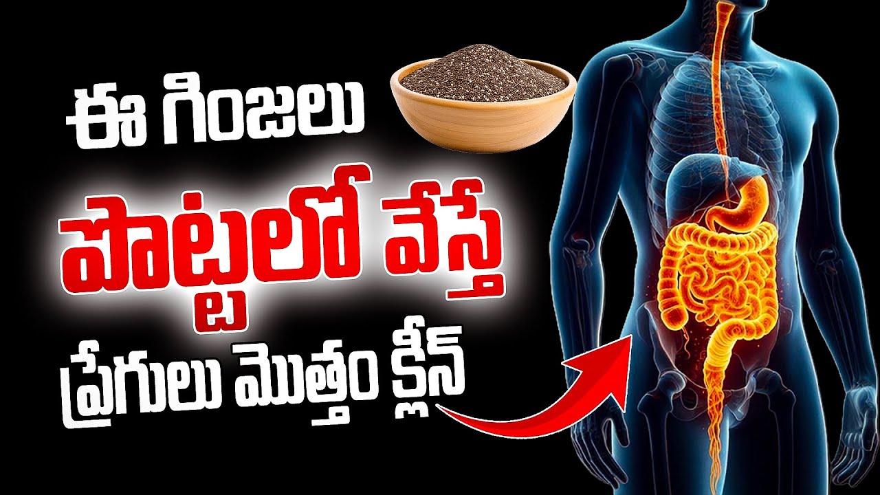 ఈ గింజలు మీ ప్రేగులను డీటాక్స్ చేస్తాయి | Fiber Foods for Gut Health | Dr. Murali Manohar