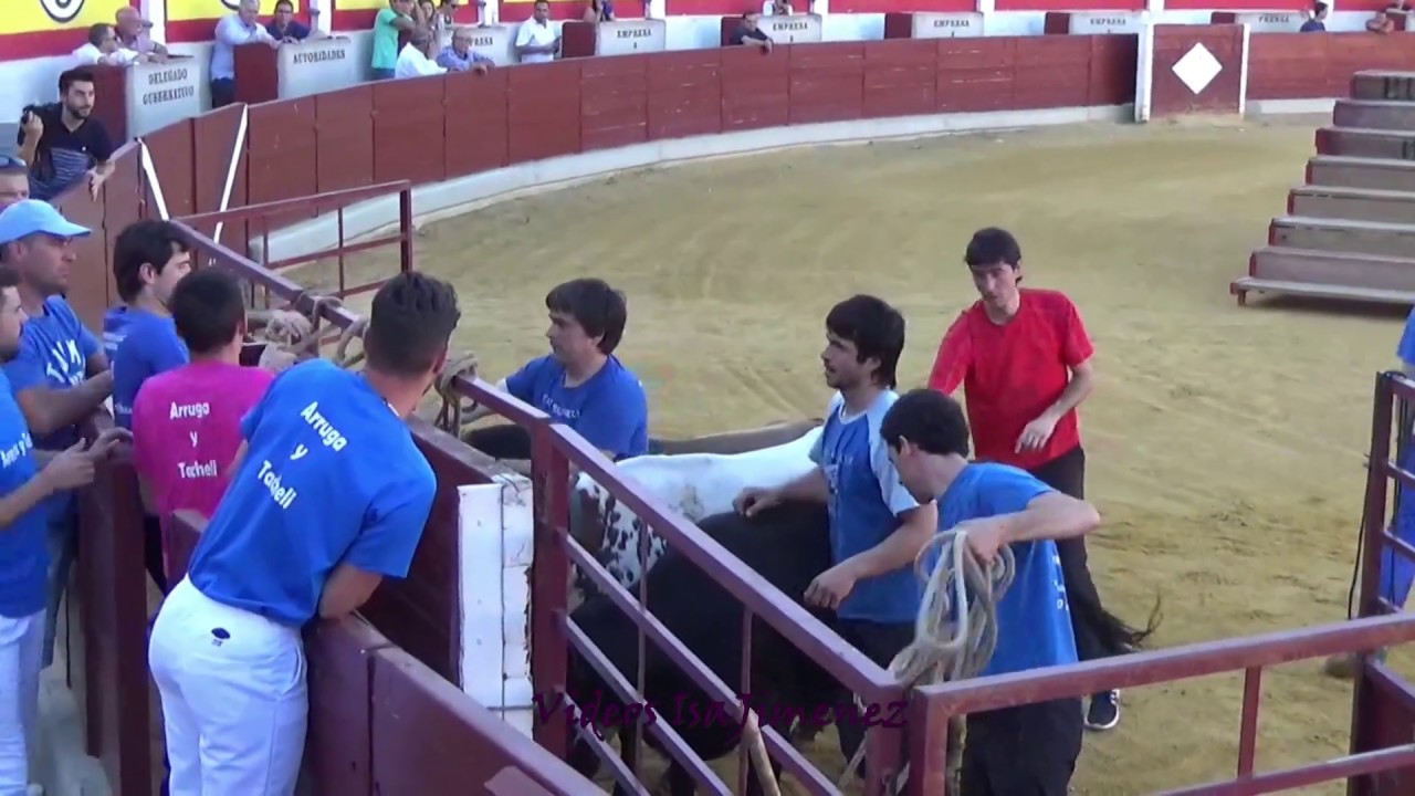 Ejea de los caballeros (Zaragoza) - 24/06/2018 - Exibición de manejo de ganado