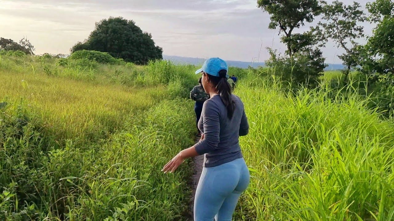 Madrugando en Busca De Elotes // Cosecha de Elotes en El Salvador