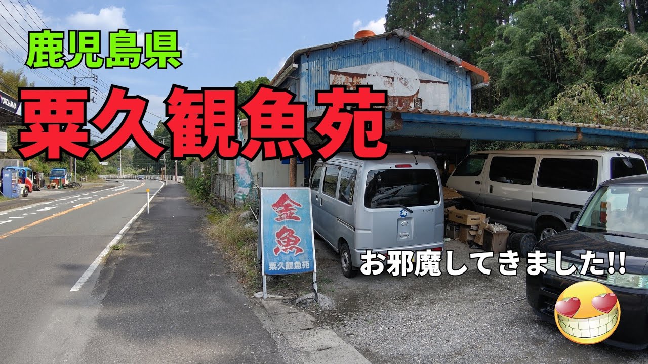 【金魚】娘と金魚屋さんに行ってきました!!