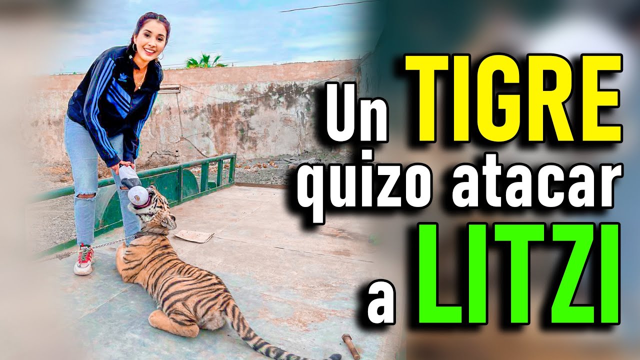🐅Un TIGRE se quizo comer a LITZY🔥