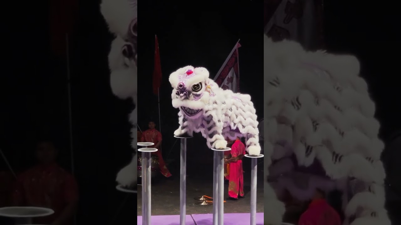 Insane Lion Dance Skills! Huang Feihong Team at HongKong International Championship.