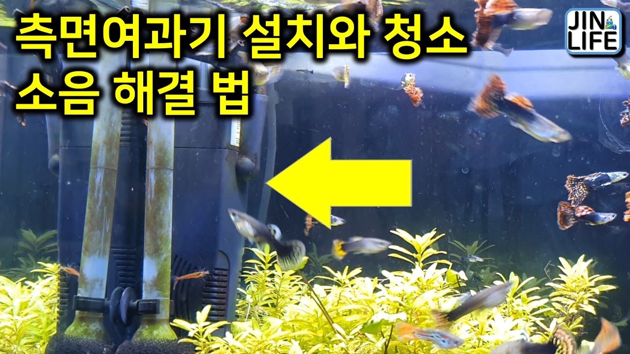 [물생활]측면여과기 설치와 청소, 그리고 소음해결법~