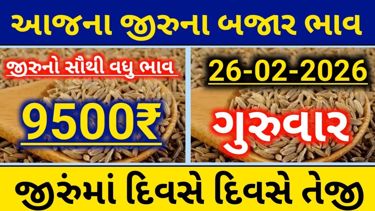 આજના જીરા ના બજાર ભાવ|| જીરાના ભાવ||9500₹||ગુજરાત માર્કેટ યાર્ડ ભાવ||જીરાના ભાવમાં દિવસે દિવસે તેજી
