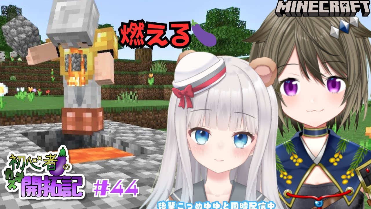 【マイクラ】初心者🍆のカオス開拓記（保護者付き）#44