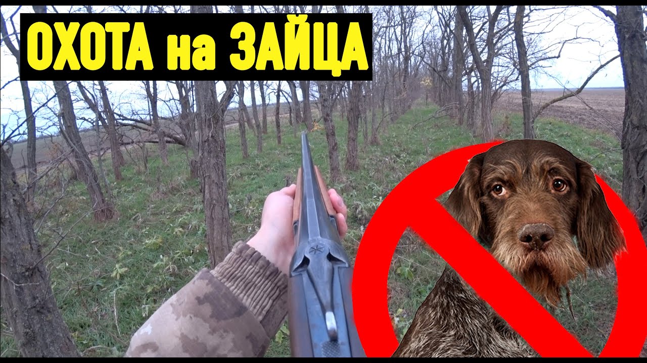 Как охотится на зайца без собаки! Советы по поиску. Охота с ИЖ-27.