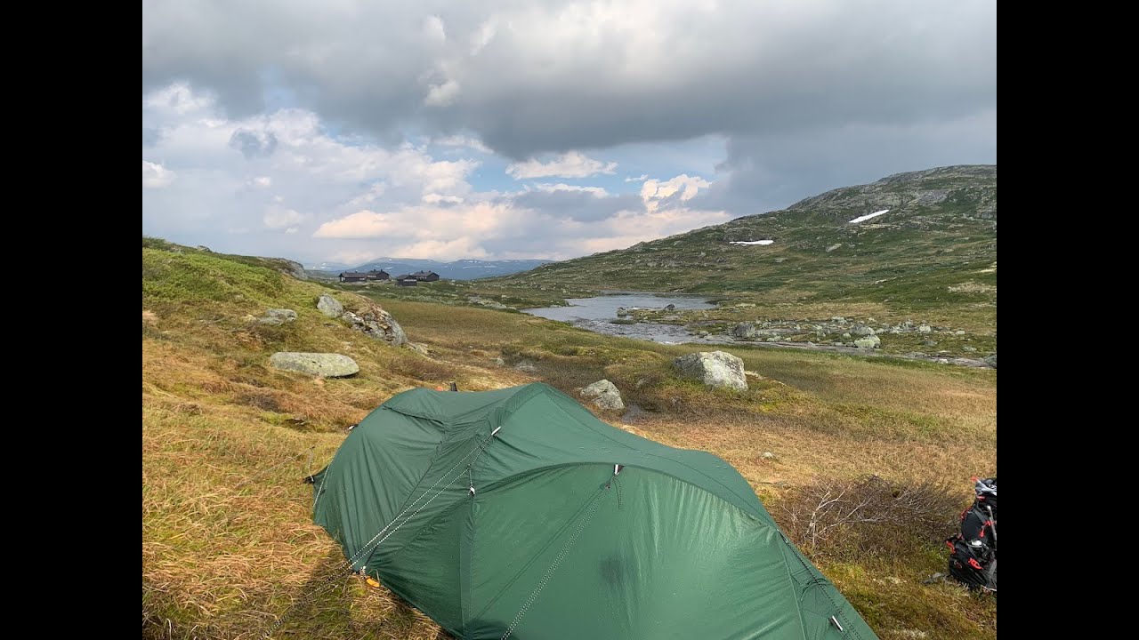 Henrik and Art Hardangervidda 2024