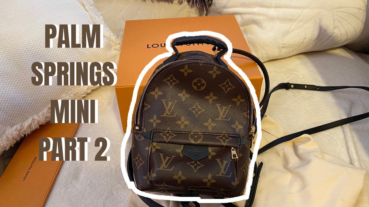 Palm Springs Mini Part 2 | Update on last fail | Louis Vuitton
