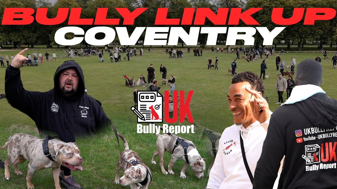 UK BULLY REPORT 'London to Coventry' Linkup #2 (Part 1)