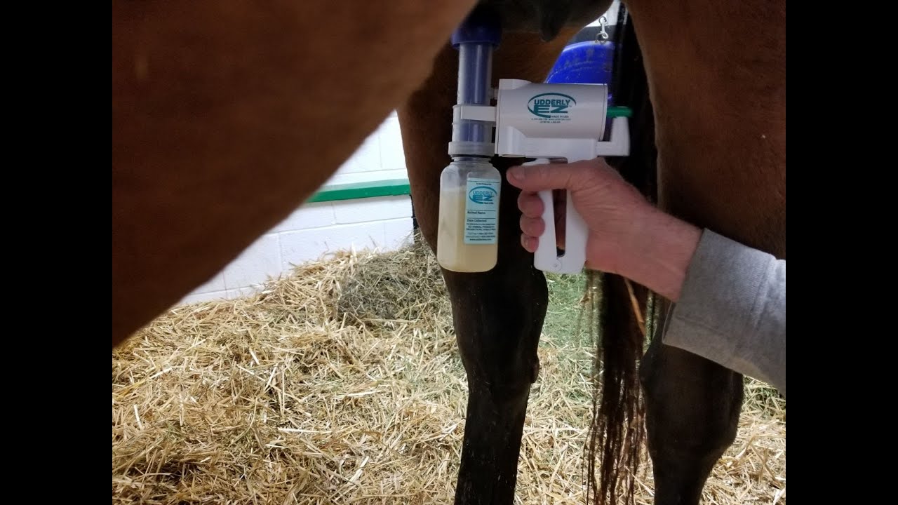 The Udderly Ez Mare Milker™