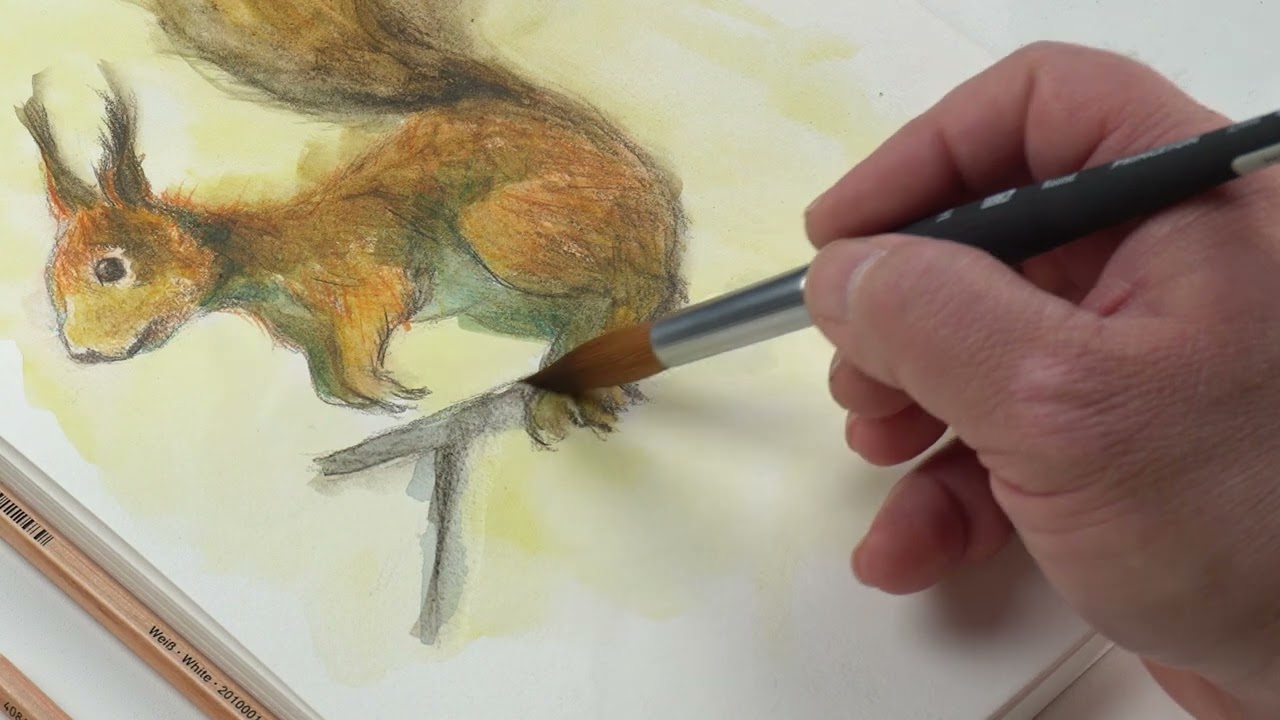 Drawing a Squirrel with Watercolour and Coloured Pencils