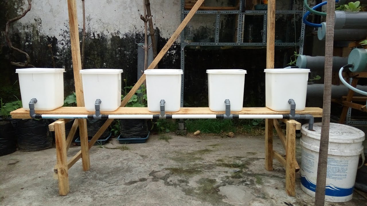 Panduan membuat sistem hidroponik Dutch Bucket dari awal sampai siap digunakan (Edisi Revisi)